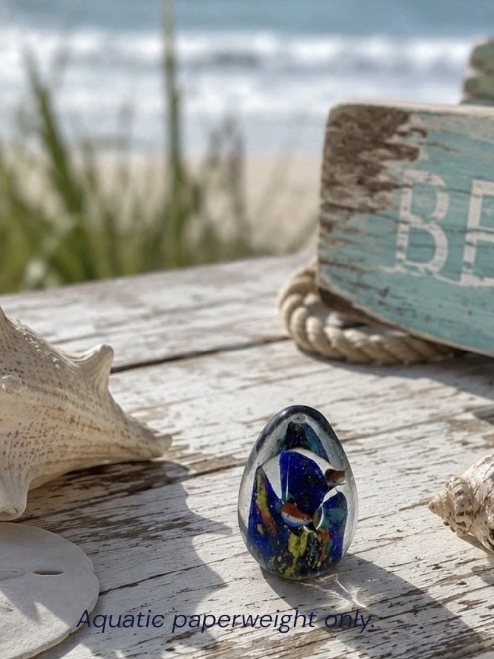 Florida Aquarium Art Glass Fish Paperweight Ocean Coastal | Beachcore